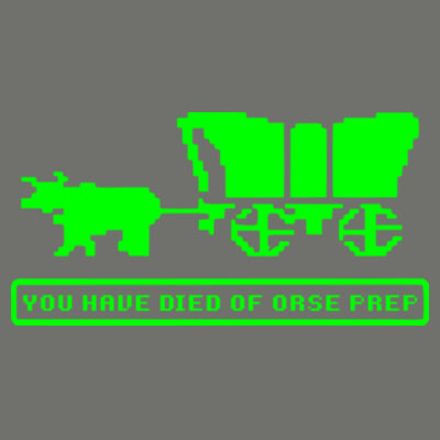 You Have Died of ORSE Prep (Lime) - Tailgate Hoodie with Beverage Insulator & Bottle Opener Design