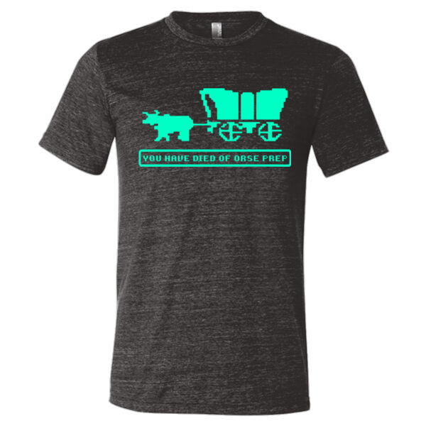 You Have Died of ORSE Prep  (GITD) - Triblend Short Sleeve T-Shirt Thumbnail